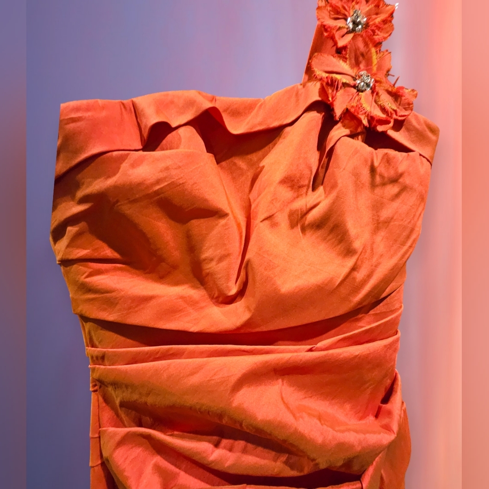 Lazaro lridescent Coral One Strap Ruched Evening Party Prom Dress Sz 6